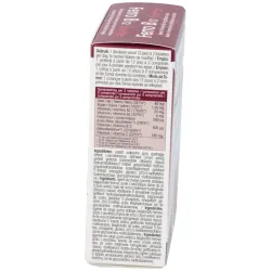 Physalis ferro b12 forte 60comp | Farmacia Barata