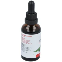 Ext.llanten 50ml maese herbario | Farmacia Barata Ext.llanten 50ml maese herbario | Farmacia Barata