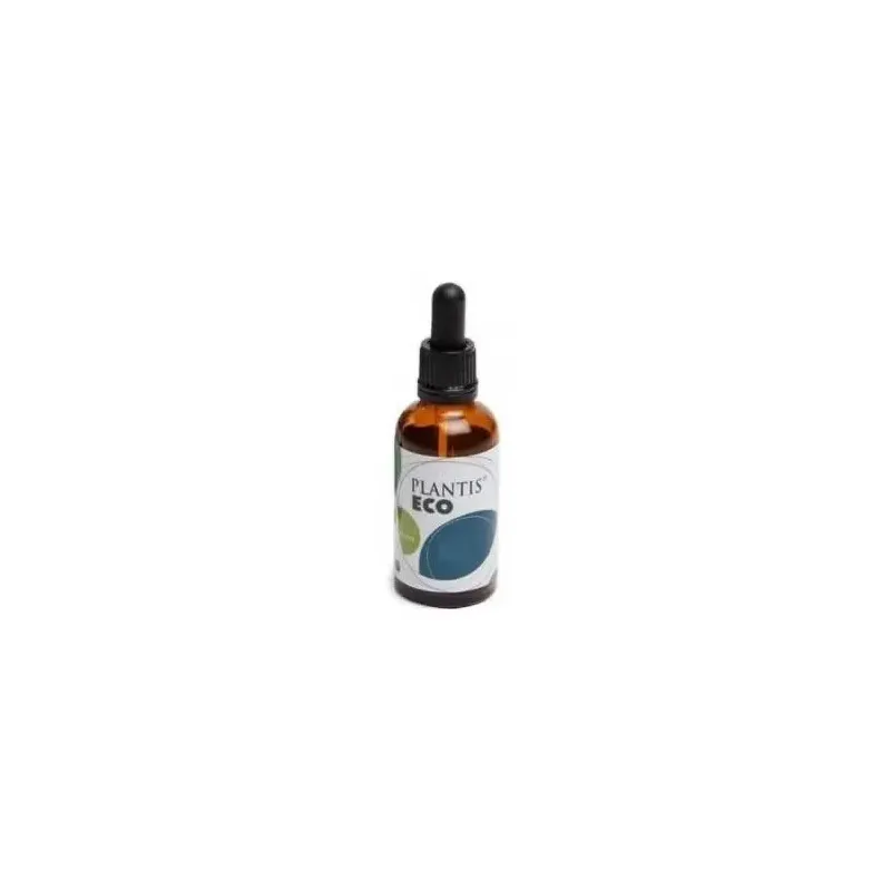 Ext.brusco (ruscus) 50ml maese herbario | Farmacia Barata Ext.brusco (ruscus) 50ml maese herbario | Farmacia Barata