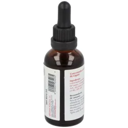 Plantis ext. liquen hidroalcoholico 50ml | Farmacia Barata Plantis ext. liquen hidroalcoholico 50ml | Farmacia Barata