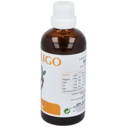 Plantis endoligo phytoligo 100ml | Farmacia Barata