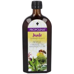 Artesania agricola propolina jarabe 500ml