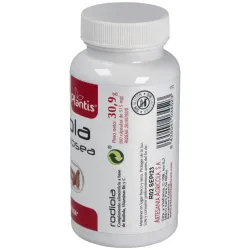 Rhodiola plantis 60cap. | Farmacia Barata Rhodiola plantis 60cap. | Farmacia Barata