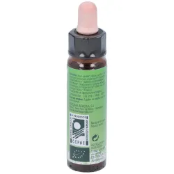 Remedio plantis nº 6 autoestima 10ml. eco | Farmacia Barata