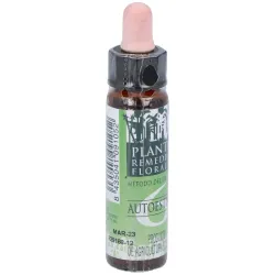 Remedio plantis nº 6 autoestima 10ml. eco | Farmacia Barata