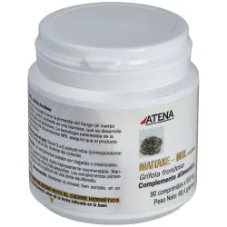 Maitake-mrl 500mg. 90comp. | Farmacia Barata Maitake-mrl 500mg. 90comp. | Farmacia Barata