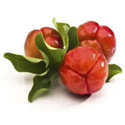 Herbetom propolchest 30 cápsulas | Farmacia Barata Herbetom propolchest 30 cápsulas | Farmacia Barata