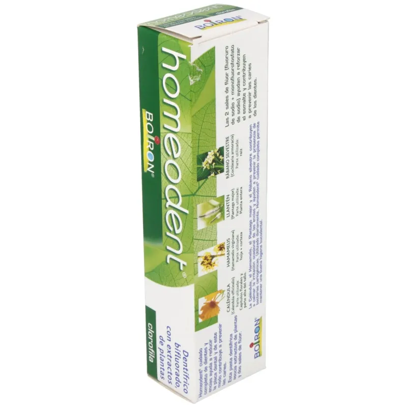 Homéodent dentifrice chlorophylle 75ml | Farmacia Barata