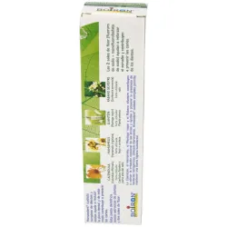 Homéodent dentifrice chlorophylle 75ml | Farmacia Barata
