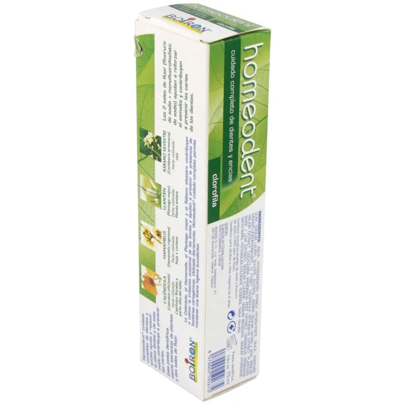 Homéodent dentifrice chlorophylle 75ml | Farmacia Barata