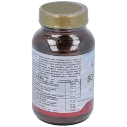 Cfn sofibrax 60caps | Farmacia Barata