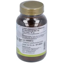 Cfn cimicifuga racemosa st 60comp | Farmacia Barata Cfn cimicifuga racemosa st 60comp | Farmacia Barata