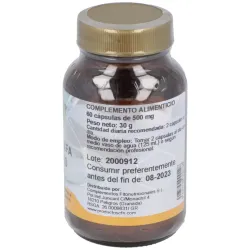Cfn ácido alfalipoico 60caps | Farmacia Barata