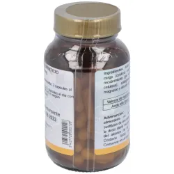 Cfn ácido alfalipoico 60caps | Farmacia Barata