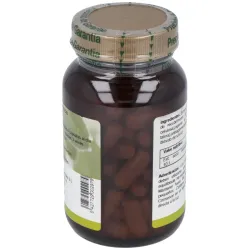 Cfn guanábana graviola 60caps | Farmacia Barata