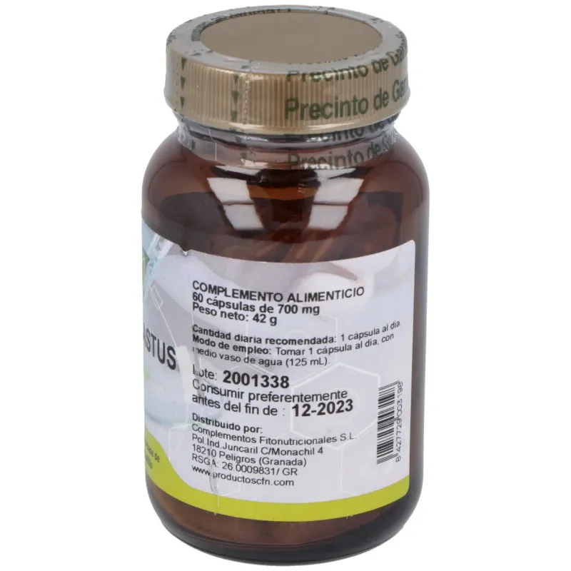 Cfn agnus castus st 60caps | Farmacia Barata