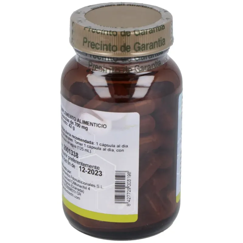 Cfn agnus castus st 60caps | Farmacia Barata