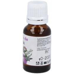 Fitoesencias lavanda aceite esencial 15ml | Farmacia Barata Fitoesencias lavanda aceite esencial 15ml | Farmacia Barata