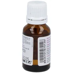 Fitoesencias romero aceite esencial 15ml | Farmacia Barata Fitoesencias romero aceite esencial 15ml | Farmacia Barata