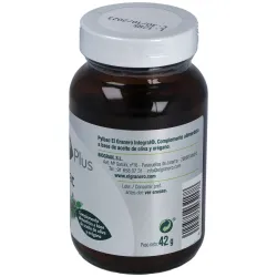 Granero complemento pylbac 60 perlas | Farmacia Barata