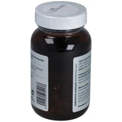 Granero complemento pylbac 60 perlas | Farmacia Barata
