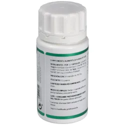 Equisalud holofit shoyosan 50caps | Farmacia Barata