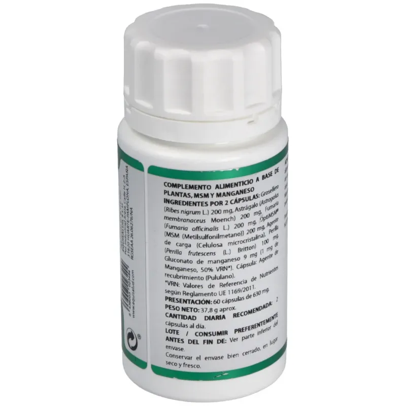 Equisalud holofit grosellero 60caps | Farmacia Barata Equisalud holofit grosellero 60caps | Farmacia Barata