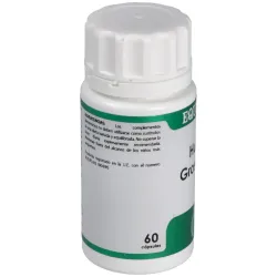 Equisalud holofit grosellero 60caps | Farmacia Barata Equisalud holofit grosellero 60caps | Farmacia Barata