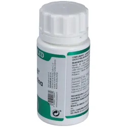 Holofit quercetina 50cap. | Farmacia Barata