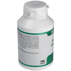 Holofit clorofila 180 cáps | Farmacia Barata