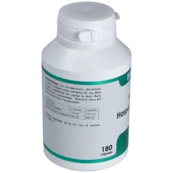 Holofit harpagofito forte 180cap. | Farmacia Barata Holofit harpagofito forte 180cap. | Farmacia Barata
