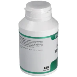 Equisalud holofit silimarina 180caps | Farmacia Barata Equisalud holofit silimarina 180caps | Farmacia Barata