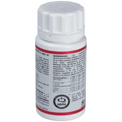 Equisalud holomega ubiquinol 100mg 50 perlas | Farmacia Barata Equisalud holomega ubiquinol 100mg 50 perlas | Farmacia Barata