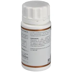 Holovit colina 300mg. 50cap. | Farmacia Barata