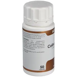Holovit colina 300mg. 50cap. | Farmacia Barata