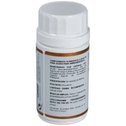 Holovit paba 500mg. 50cap. | Farmacia Barata Holovit paba 500mg. 50cap. | Farmacia Barata