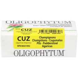Holistica Oligophytum Zinco, 100 comprimidos
