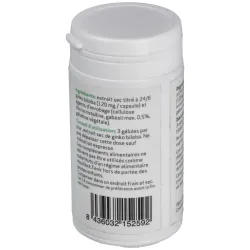 Ifigen ginkgo biloba 90caps | Farmacia Barata
