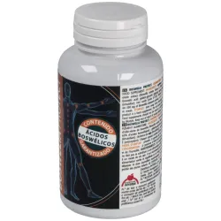 Intersa boswelia protect 500mg 45 perlas | Farmacia Barata