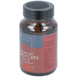 Terranova córdiceps 500 mg (cordyceps sinensis) 50 cápsulas | Farmacia Barata