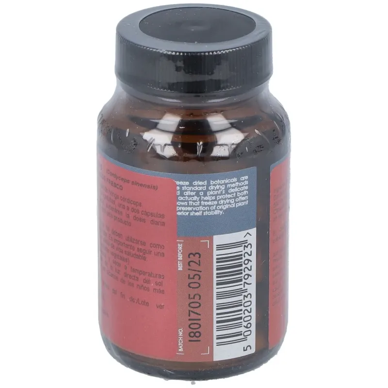 Terranova córdiceps 500 mg (cordyceps sinensis) 50 cápsulas | Farmacia Barata