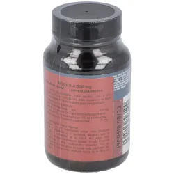 Rhodiola 300mg. 50vcap. | Farmacia Barata
