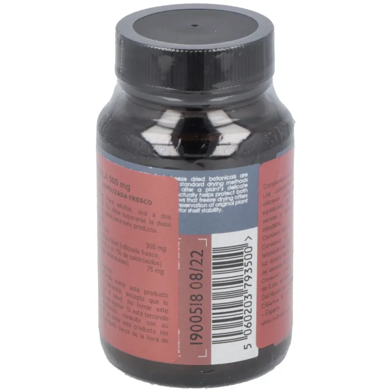 Rhodiola 300mg. 50vcap. | Farmacia Barata