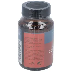 Terranova córdiceps 500 mg (cordyceps sinensis) 50 cápsulas | Farmacia Barata