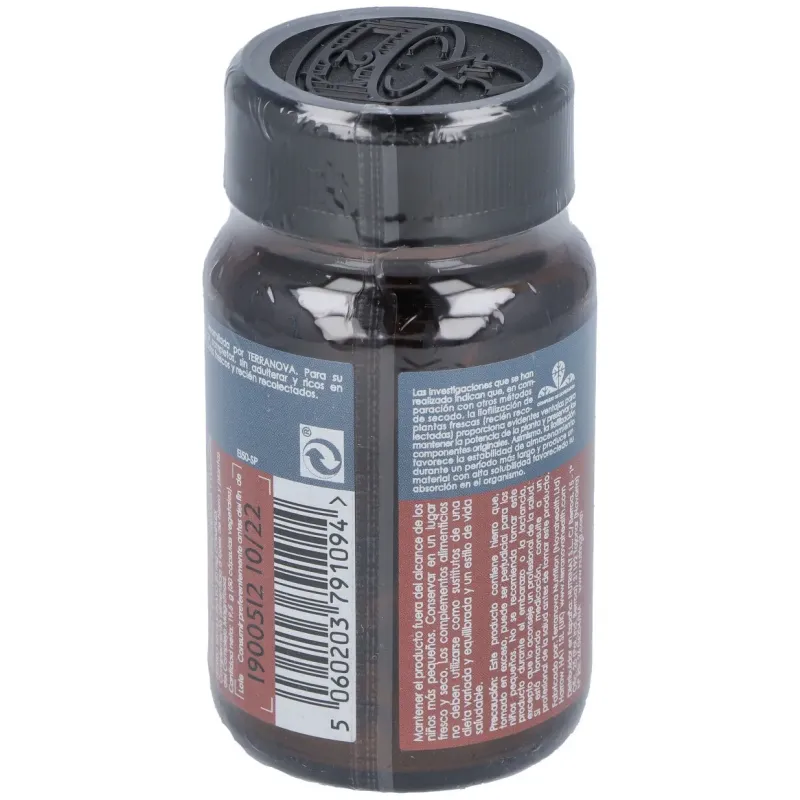 Hierro bisglicinato 20mg. 50vcap. | Farmacia Barata