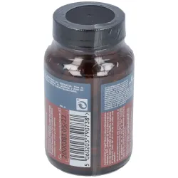Terranova magniprobio complex con fructo-oligosacáridos 50 caps | Farmacia Barata Terranova magniprobio complex con fructo-oligosacáridos 50 caps | Farmacia Barata
