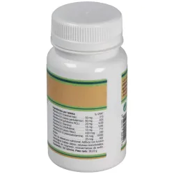 Natural force complejo b balanceado 100comp | Farmacia Barata