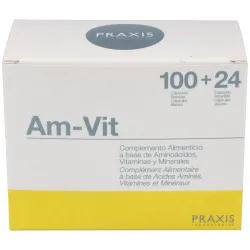 Am-vit (aminoac.+vit+minerales+oligoel) 100+24comp