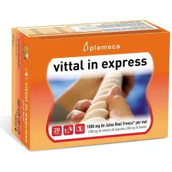 Vital in express jalea real 20amp