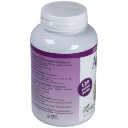 Plantapol ajo 1000 aceite de ajo120perlas | Farmacia Barata Plantapol ajo 1000 aceite de ajo120perlas | Farmacia Barata
